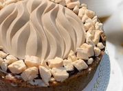 A picture of basic vanilla cake