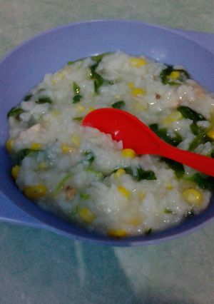 Foto resep MPASI 10+ Bubur Komplit