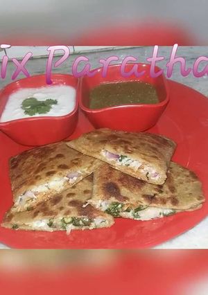 A picture of Mixed paratha.