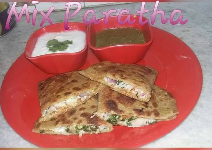 Mixed paratha