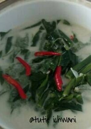 Foto resep Lodeh sayur campur