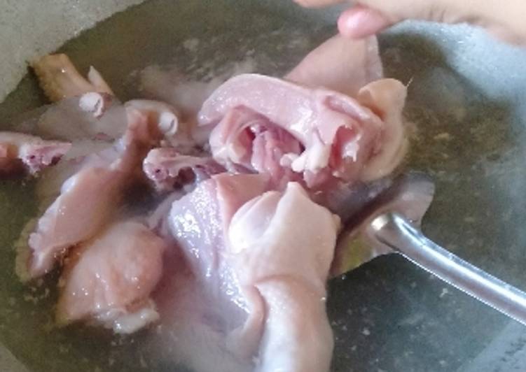Tips Mengolah Ayam Potong