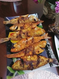 صورة لوصفة سمك الباجو والروجي مقلي بتتبيلة خطيرة🐟🐟🐟🐟