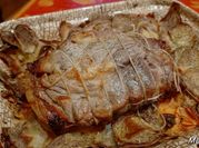 Une photo de veau