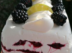 Foto di Semifreddo lime e frutti di bosco