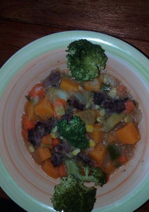 Una foto de Cazuela de Verduras con trocitos de Carne