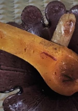 รูปของ Butternut Squash ฟักทองน้ำเต้าอบโรสแมรี่