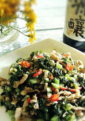眷村味雪菜炒肉絲【源釀醬油】 的食譜成品照片