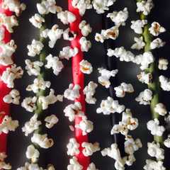 รูปของ Popcorn Grissini