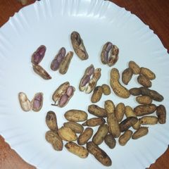 A picture of Boiled groundnuts #festive season contest kakamega.