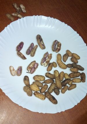 A picture of Boiled groundnuts #festive season contest kakamega.