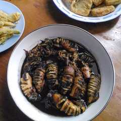 รูปของ Cumi Hitam Saus Inggris