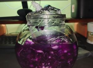 Foto resep Rotkohl Sauerkraut - Fermentasi Kol Ungu / Kol Merah