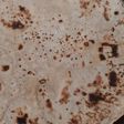 Roti
