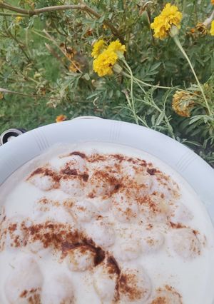 A picture of Dahi phulki.