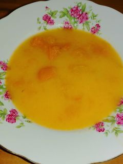 Sárgabarack leves recept fotója