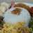Nasi Uduk Magic com