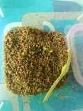 Rabuk ikan/ikan abon