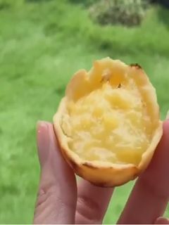 Foto resep Pie Susu Teflon