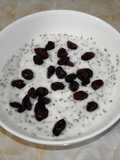 Yogur con chía y arándanos deshidratados