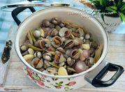 Gambar kerang rebus