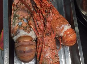 Hình của món Tôm hùm hấp bia.