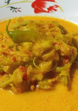 Foto resep Lodeh Kembang Turi