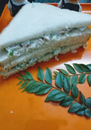 A picture of Rashiyan sandwich.