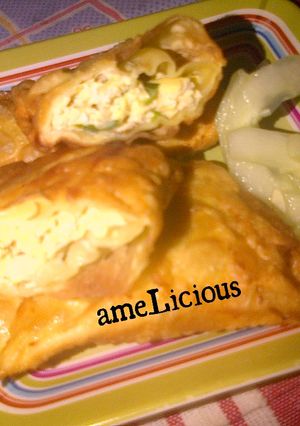 Foto resep Martabak Lumpia Tahu