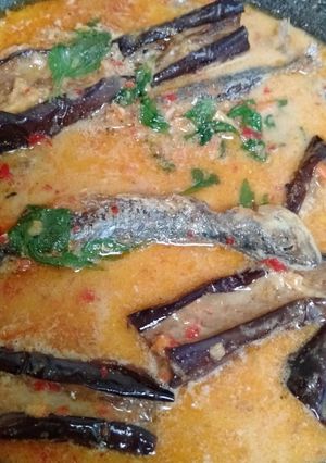 Foto resep Santan Terong Kembung