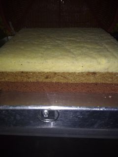 Foto resep 🌸Bolu Tiramisu🌸