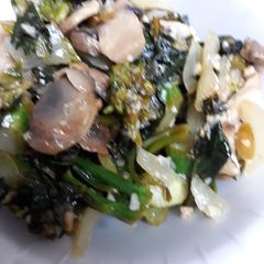 A picture of Gai-lon Chinese Broccoli.