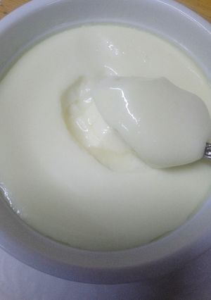 Foto resep Steamed Ginger Milk Pudding