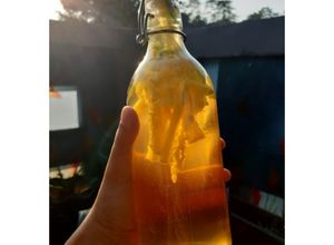 Foto resep Kombucha Tea (Teh Fermentasi Sari Buah)