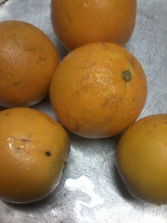 A picture of Educator orange appetite.
