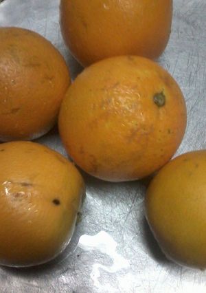 A picture of Educator orange appetite.