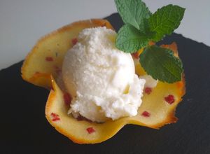 Foto principal de Melón helado con barquillo de jamón (en heladera)