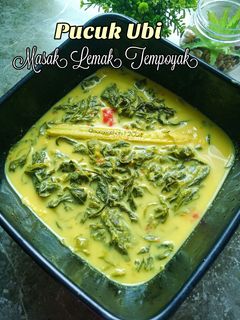 Gambar Pucuk Ubi Masak Lemak Tempoyak