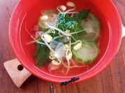 Gambar sayur kecambah