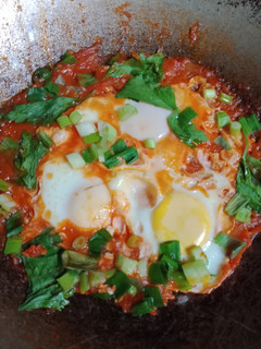 Foto resep Shakshuka (North African Pouch Eggs)