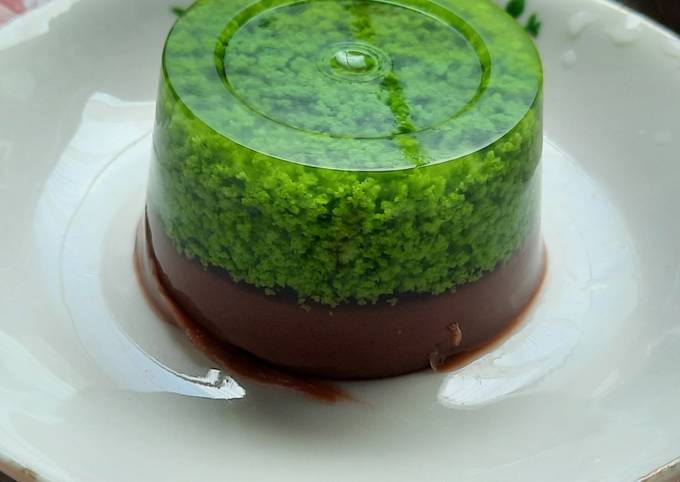 Cara bikin Puding Lumut Cokelat Cara bikin Puding Lumut Cokelat