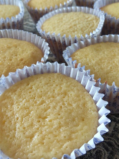 Una foto de Cupcakes / Muffin 🧁