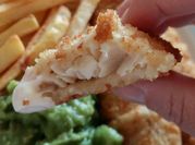 A picture of fried fish without eggs