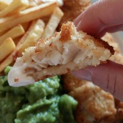 A picture of Vickys Breaded Oven-Fried Fish, GF DF EF SF NF.