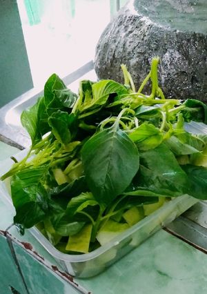 Foto resep Sayur bening