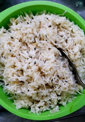 A picture of Rice.