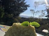 Risotto con albahaca