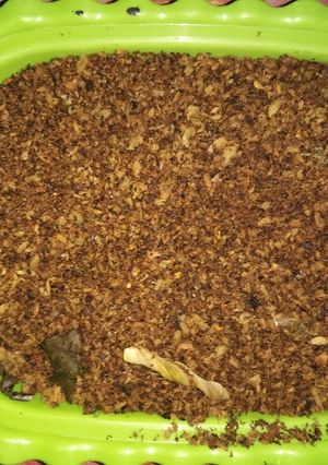 Foto resep Abon ikan tuna