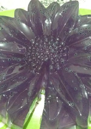 Foto resep Puding selasih