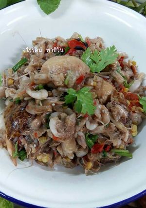 รูปของ ป่นกุ้งฝอย